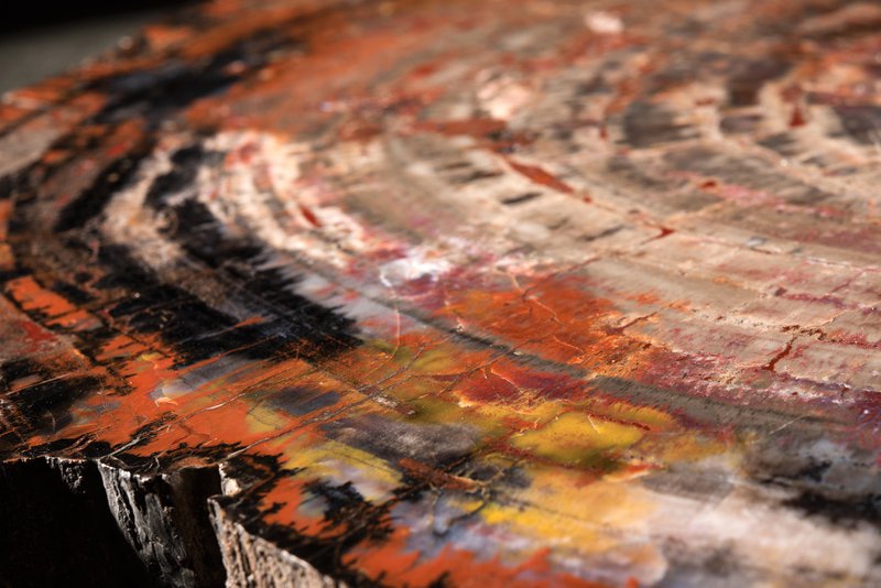 Jasperised wood D.47884