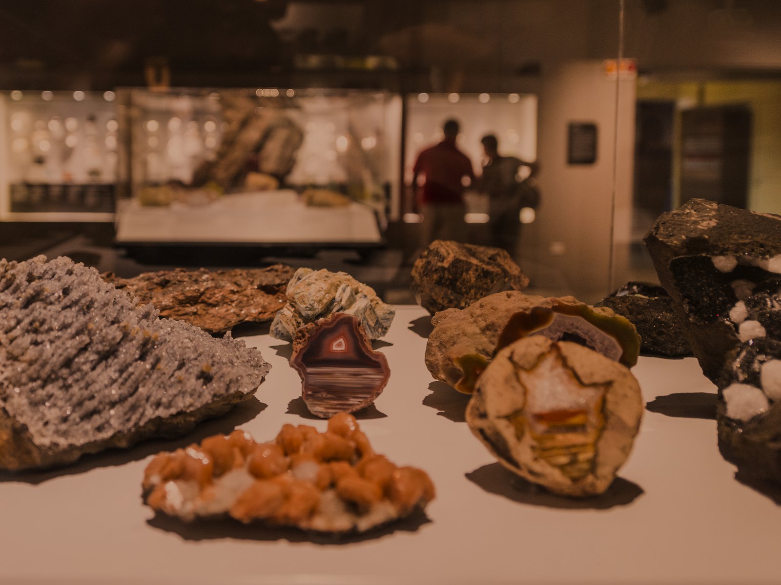 People at a minerals display