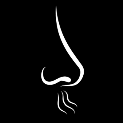 Visual story smell icon