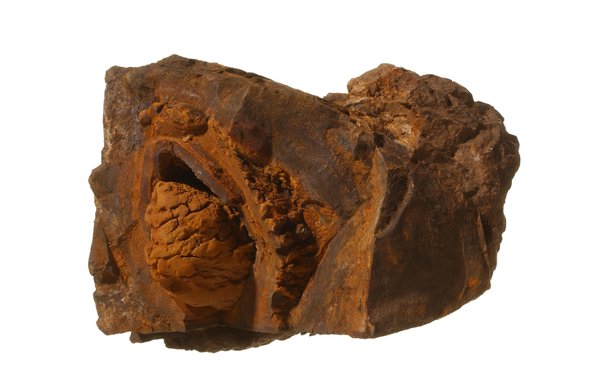 Ironstone concretions