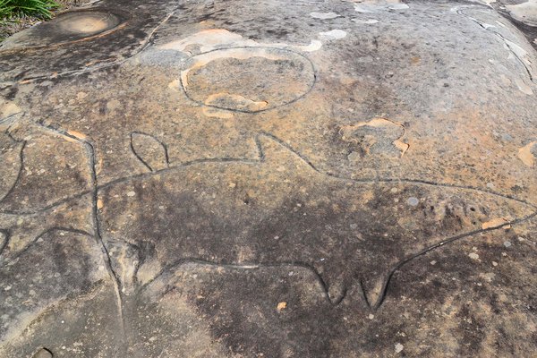 Rock carvings created by ancestors, North Bondi.