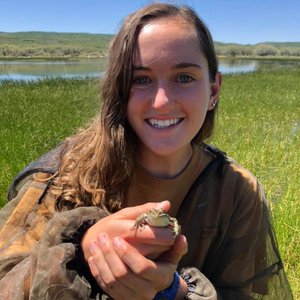 Savannah Weaver