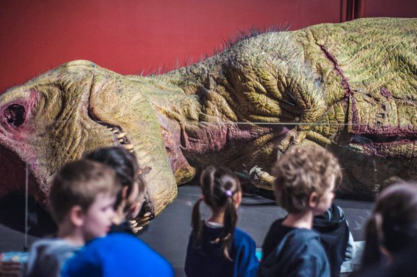 T.rex autopsy