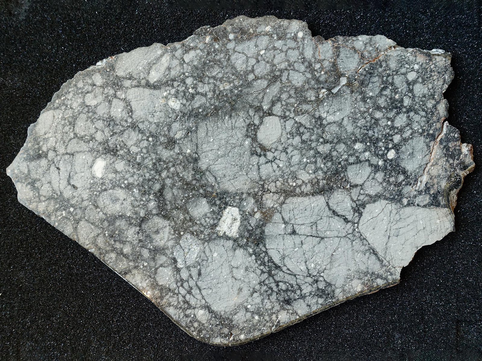 This ancient lunar meteorite is the largest central slice of Gadamis 004, one of the oldest rocks on the moon and the closest match to the rocks collected on the Apollo 16 mission.