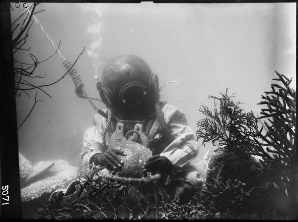 ams320_v05071_Coral reefs and denizens of the reefs A pearl diver at work (amongst corals)' photographer Frank Hurley