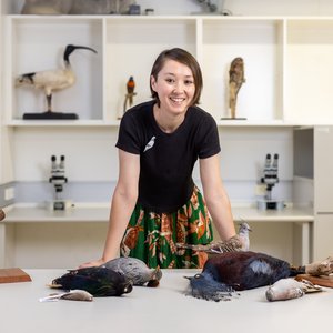Emily Cave, behind the scenes at the ornithology collection.