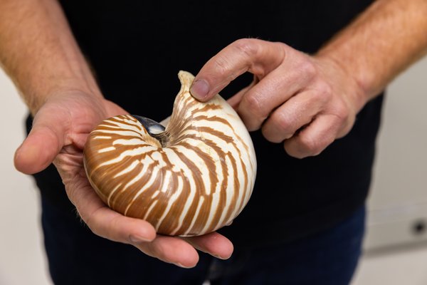 Behind the scenes in the Australian Museum Malacology Collection with Frank Köhler.