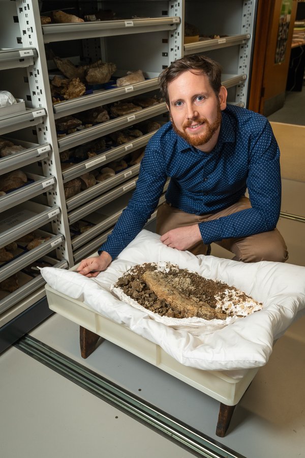 Matthew McCurry and baby Diprotodon jaw