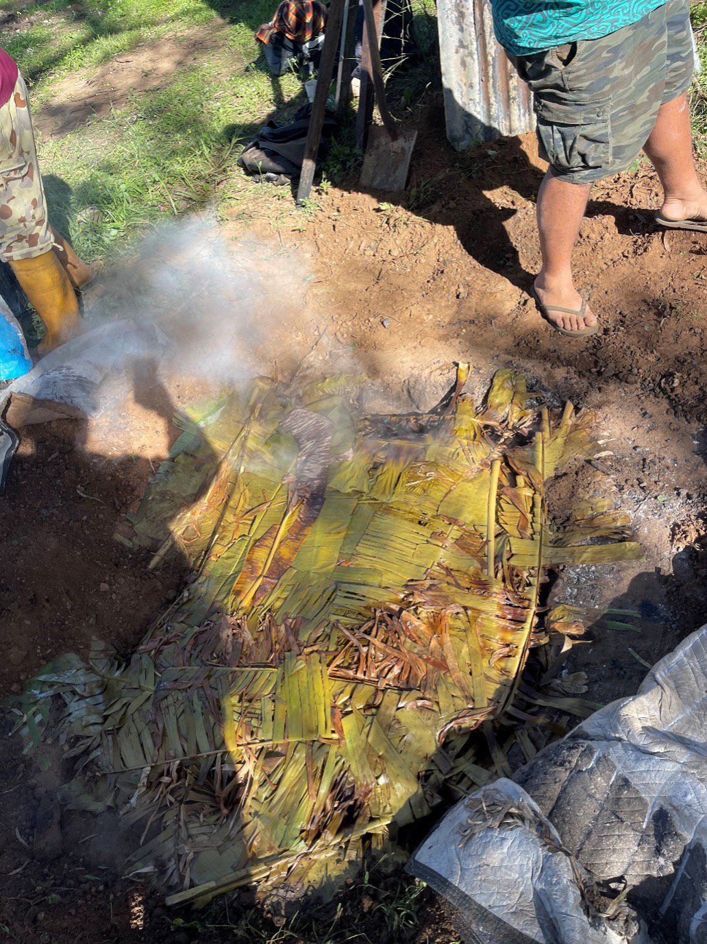 Umu earth oven being uncovered