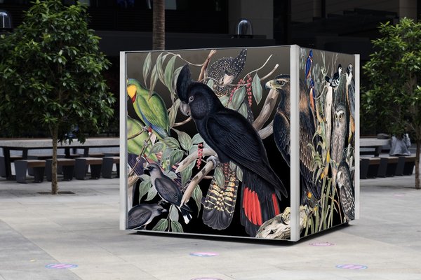 Storybox - Gould's Birds of Australia Bird Box