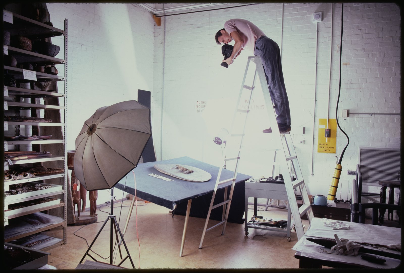 Ric Bolzan at work in the Australian Museum photography studio. From a slide film transparency. AMS701/32722