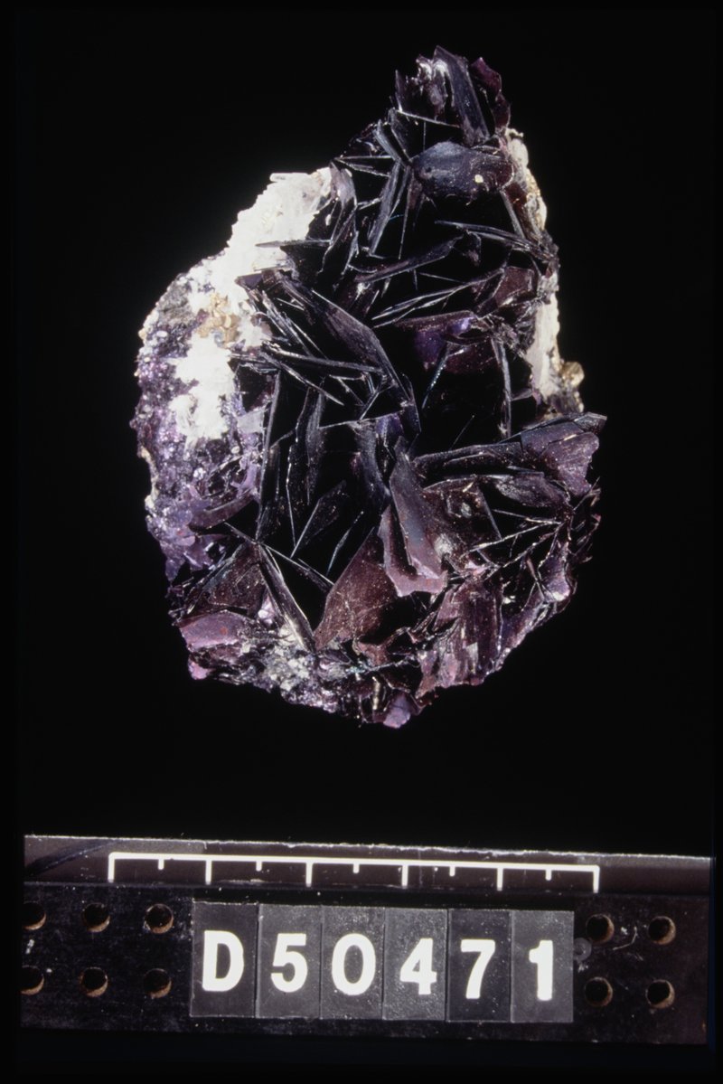Multifaceted mineral specimen (Covellite (copper sulfide)) from Butte, Montana USA.). From a slide film transparency. AMS701/59689.