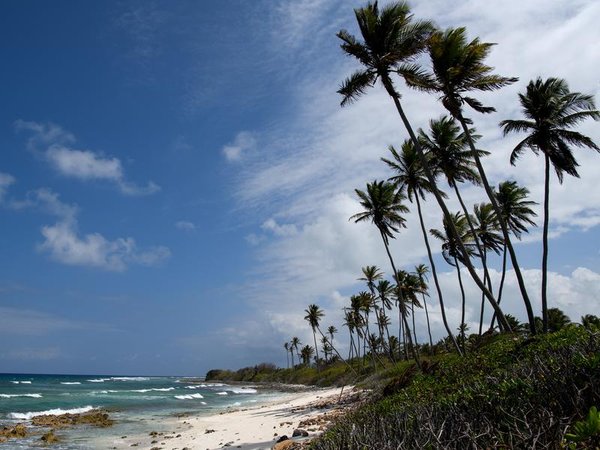 The Cocos (Keeling) Islands.