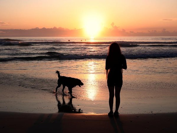 A person and dog at sunrise in Sydney (file image)