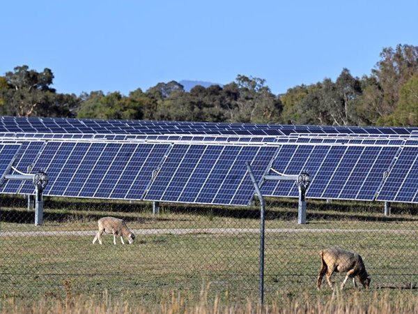 Solar farm
